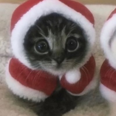 neuronecia_'s profile picture. 23•ENG/PL ᵃᵈʰᵈ