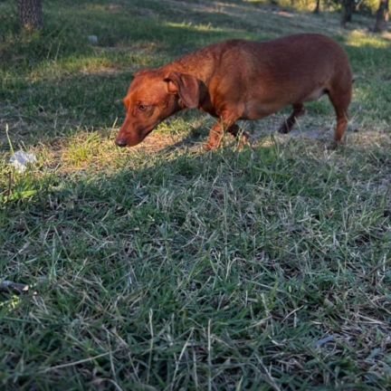 Ezee2025's profile picture. 