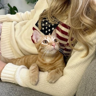 achard_maxime's profile picture. On a journey to be my best self 💫💪