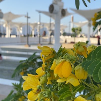 حُـــوري ♡