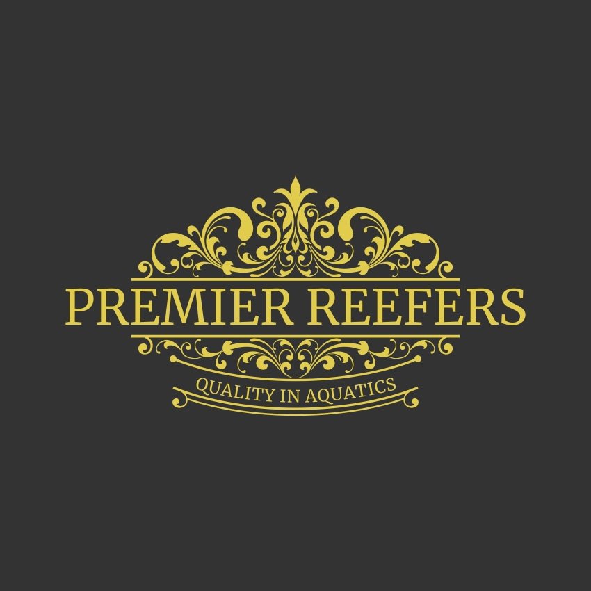 premierreefers's profile picture. 