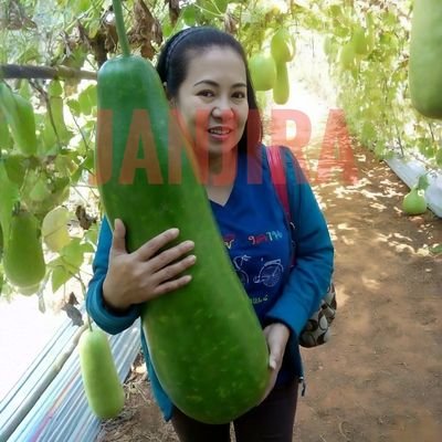 Janjira36469129's profile picture. รักธรรมชาติ

สาวใหญ่วัยเลข 5