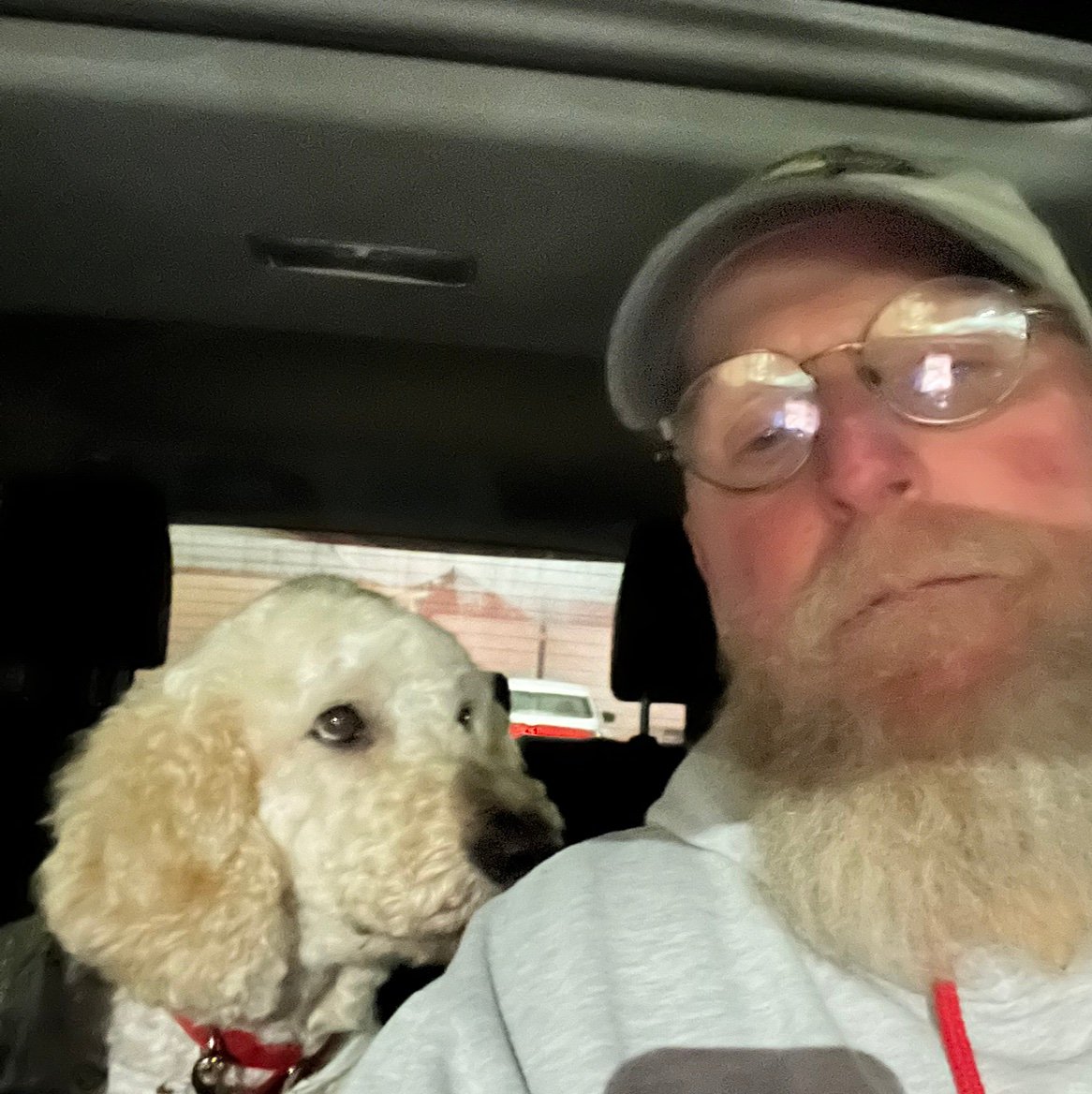 Timwh60's profile picture. 