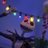 ddesvergonzada's profile image