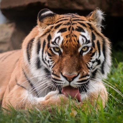 DEREK91110's profile picture. 