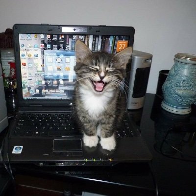 Xensho3's profile picture. 