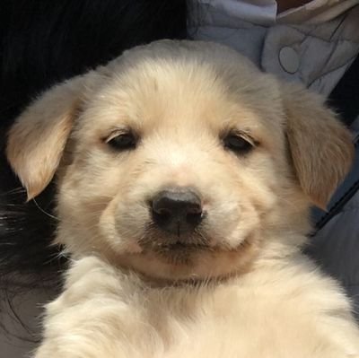 olove_s2's profile picture. 20대 중반 재테크 / 일상 / 덕질 / 워홀 / 해외취업 등등 장르 안가리고 트친 구하는 중!/블루레이디 막차 탐