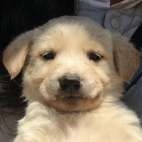 olove(오러브) (@olove_s2) 's Twitter Profile Photo