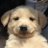 olove_s2's profile image