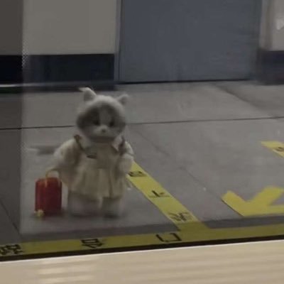 chiivaare's profile picture. lagi cpk fangirlingan