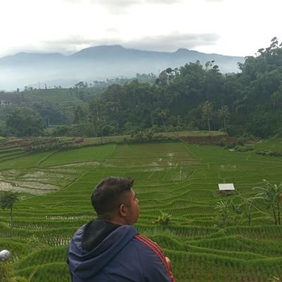 ridwana85056419's profile picture. 