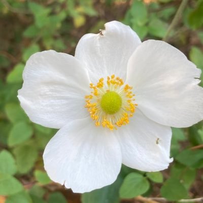 0J6a6r7HIRRCa2y's profile picture. 美術館巡り バレエ フィギュアスケート 歌舞伎にも興味があります。最近は踊る人達ばかり観ている  趣味♫音楽人