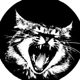 cinefilaexpress's profile picture. film lover