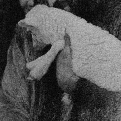 x9hto's profile picture. 