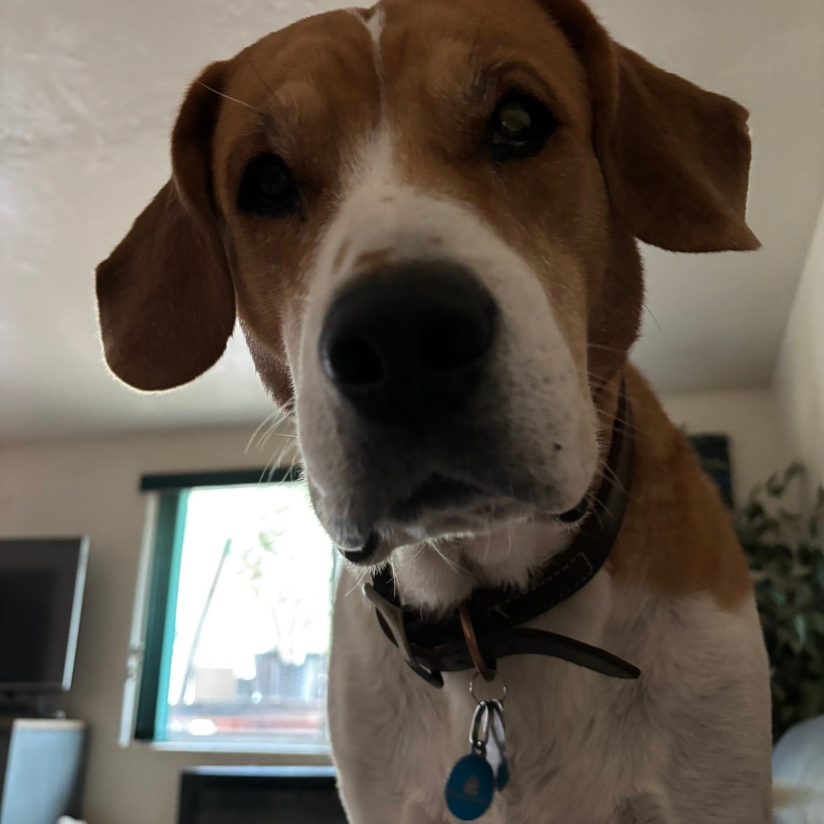 Rob_thewaterguy's profile picture. 