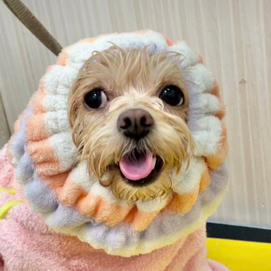 Sasakij9's profile picture. 