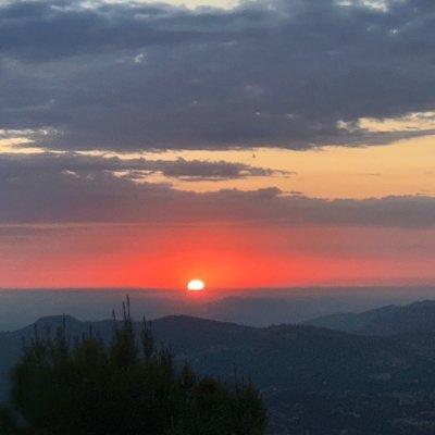 7skrt's profile picture. L🐬 F🧚🏻‍♀️F✨L ⌖