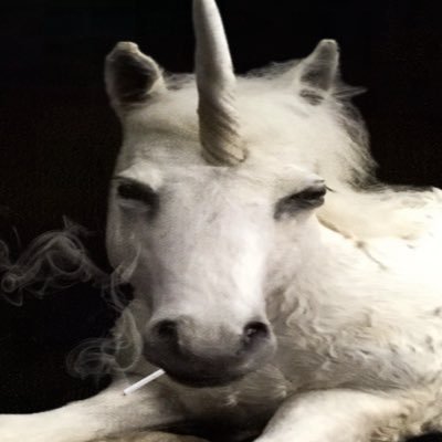 caireacht's profile picture. 