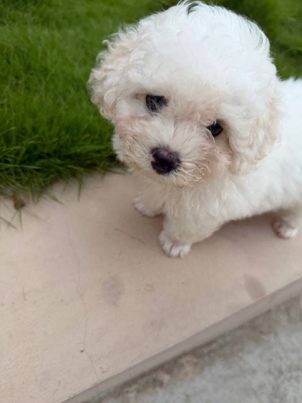 Lojoo66226's profile picture. 