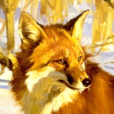 bvllski's profile picture. 