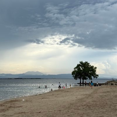 rodzrodel's profile picture. 