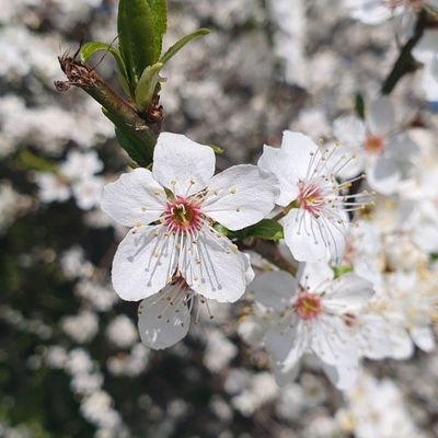 HelloItsMe_BB_'s profile picture. Ja ik deug! So what?