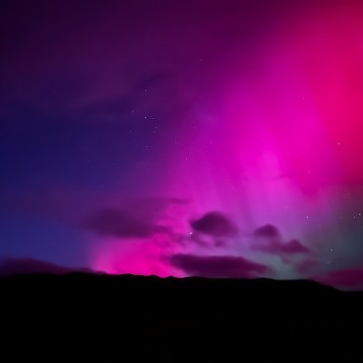 organometalika's profile picture. 