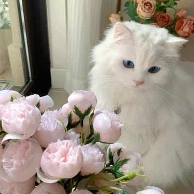 onyxeclair's profile picture. wes iso turu sangar