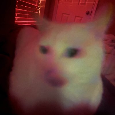 slthgg245's profile picture. 