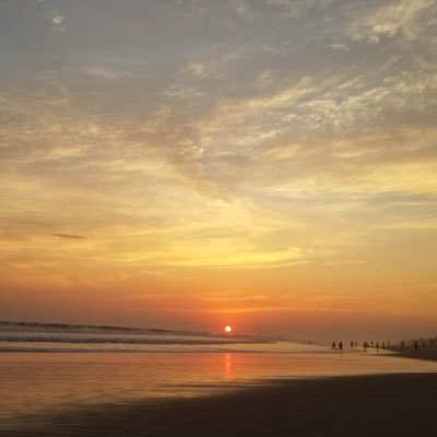 Mimo_12321's profile picture. Medicine Student 🩸 Crypto investor and a Gamer