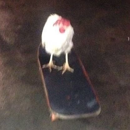 jukpyefactory's profile picture. 자네 앞날이 창창한 젊은이가 왜 죽으려 하나