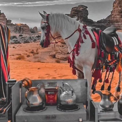 597Rema's profile picture. اطمئنوا فأنا لا أستطيع إيذاء إلا نفسي