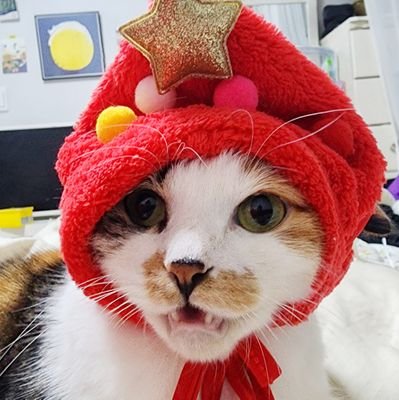 tomorrowthisday's profile picture. 