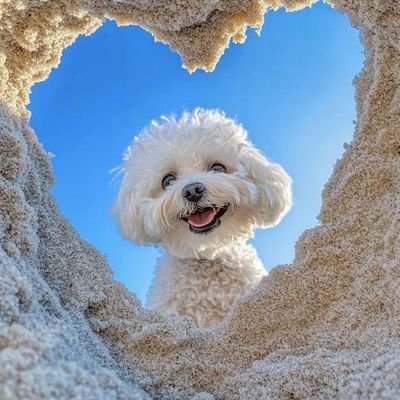 milisant35's profile picture. 