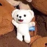 ggimnu's profile picture. 