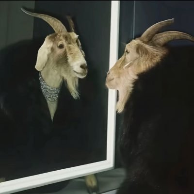 MDCOOL44514005's profile picture. TĦE  WÒŁF  RECORD🎼🎶🎵.                                      JUST AN UPCOMING ARTIST