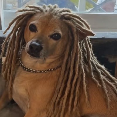 f0dassejr's profile picture. as fumassas me guiarao 😶‍🌫️👀