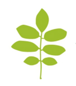 UrthYoga's profile picture. Eco Yoga Studio