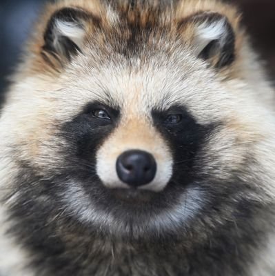 lidexian28's profile picture. どうぞ宜しくお願い致します。