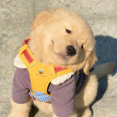 vyeriw's profile picture. 📮—★ อยากหาเงินหมุนผ่อนสบายเดมเลย 🫧
                   ❰ ★ หนึ่งในดวงใจ💙 ❱
✿ มัมหมี#BamBam ฉันหลง꒰  #BamBam🍑 ✿

🫧✊🏻꒰ Review :  ฉ่ำๆ  (ตอบ Line เร็วกว่า) 🪜