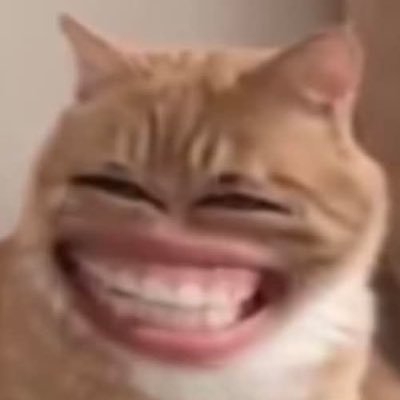 bskgrm09's profile picture. 