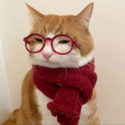 herfeltblue's profile picture. fan account