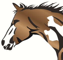 The American Junior Paint Horse Association is the Youth Association of the American Paint Horse Association. @APHANews @WorldShow @PaintRacing