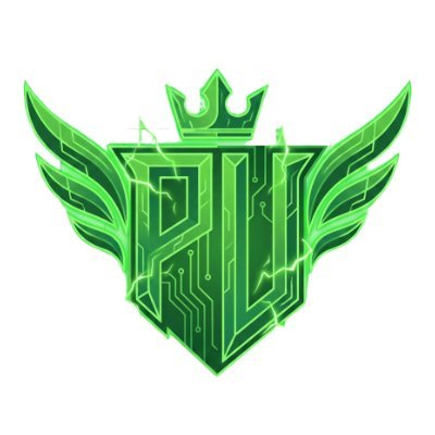 PLTR_R6S's profile picture. 