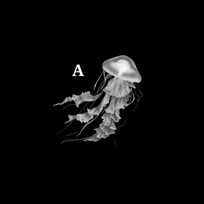 ItzzAleynnx17's profile picture. 