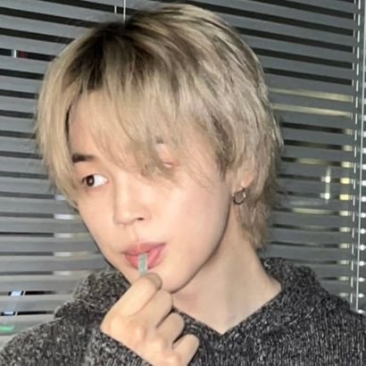 wwhseokjinius's profile picture. bts • seokjin biased • books • movies • '16 army • YOONGI 4/27/23 • HOBI 3/14/25 • JIN 7/31/25