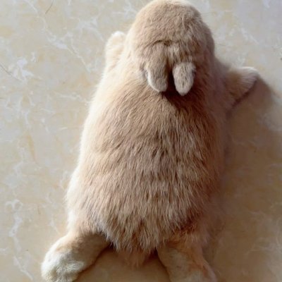 BeluBeluBeluuu's profile picture. Please don't follow. 
User is age 25(+). 
No to AI generated images! Protect artist's rights!