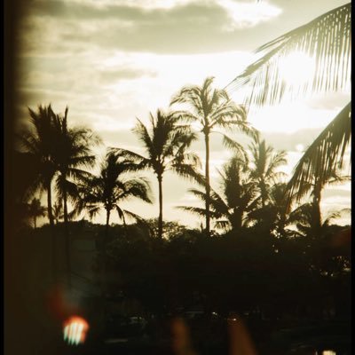 vcllai's profile picture. -