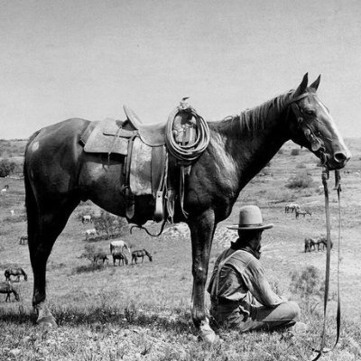 medmeatgrinder's profile picture. 