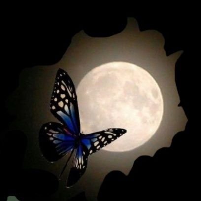 __ijl80's profile picture. دائرة صغيرة ، حياة خاصة ، عقل مطمئن .